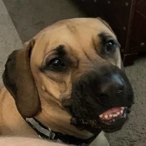 Meet your Posher, Jon